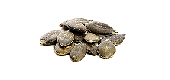 Kürbiskerne
